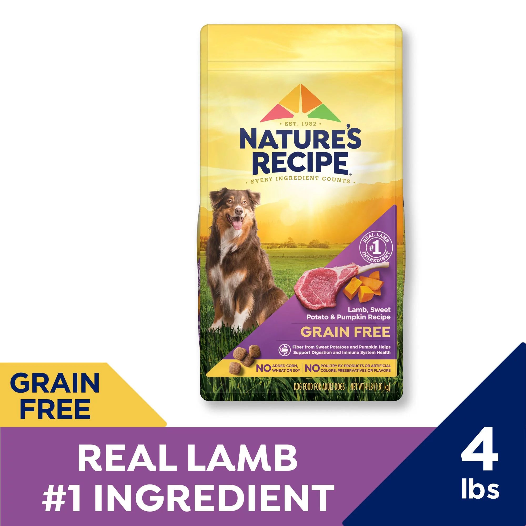 Nature's Recipe Grain Free Dry Dog Food, Lamb, Sweet Potato & Pumpkin, 4 lb. Bag E62389