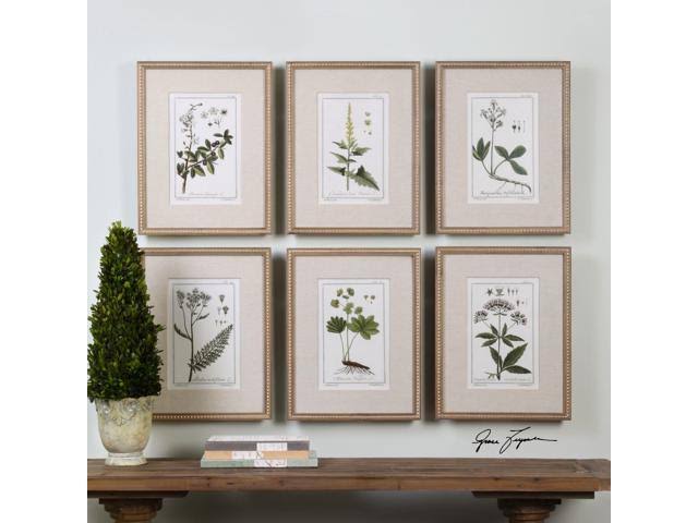Uttermost Green Floral Botanical Study Prints, Set of 6 Y541167