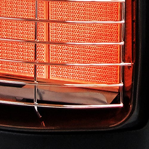 Dyna-Glo RA18LPDG 18,000 BTU Cabinet Heater, Black K835