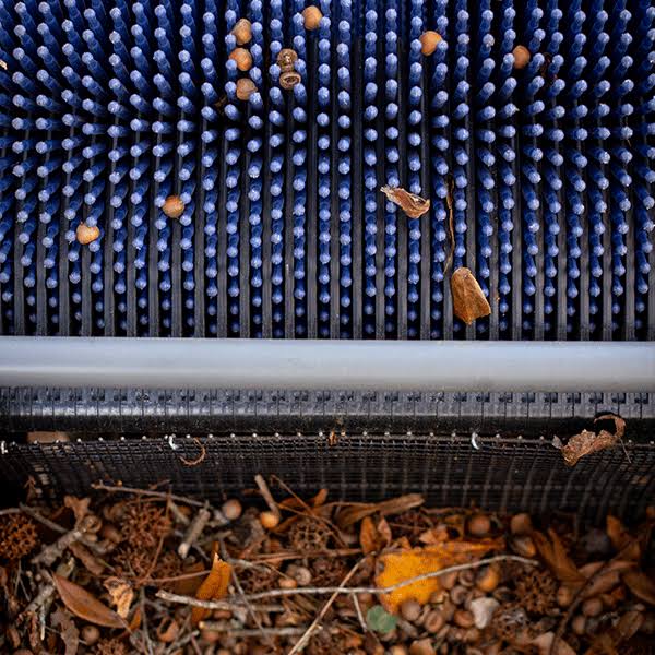 Bag-A-Nut Small Acorn Picker Upper - 36x22 Push Collector P1065