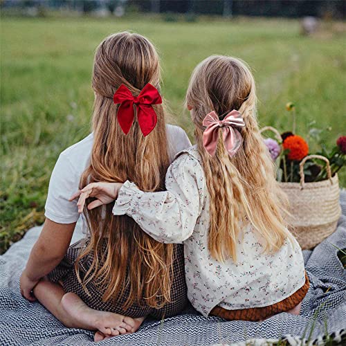 Large Velvet Fable Bow Hair Clips for Baby Girl Toddler Kids Women 12 PCS X8357