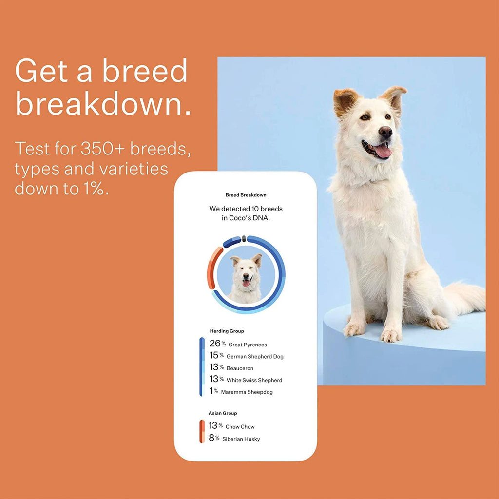 Wisdom Panel 3.0 Dog DNA Test Kit K131