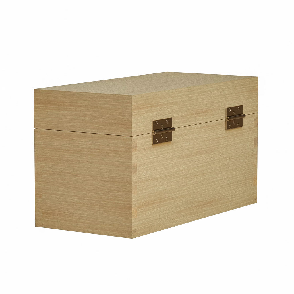 Gold and Silver Jewelry Test Kit with Storage Box E645727