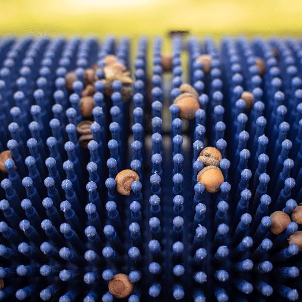 Bag-A-Nut Small Acorn Picker Upper - 36x22 Push Collector P1065