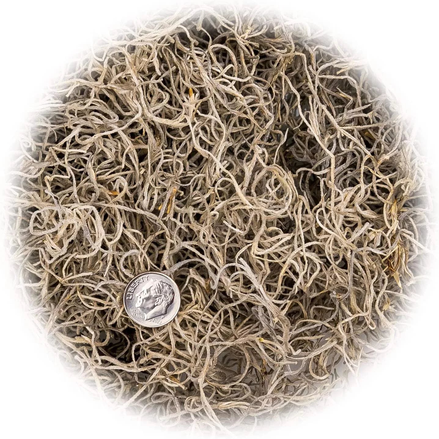 Natural Spanish Moss Preserved Ground Cover for Potted Plants by LOVA - 3 Quart Bag S45657