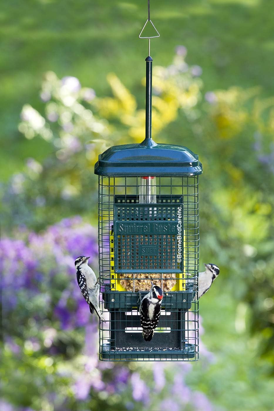 Squirrel Buster Suet Squirrel-proof Bird Feeder with 2 Suet Cake Trays, Green J175
